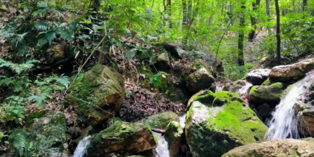 快来茅山避暑，凉爽一夏