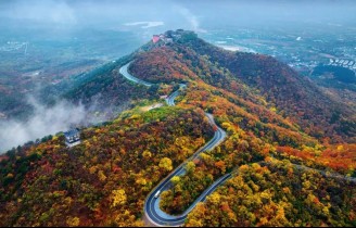 秋染茅山,养生正当时