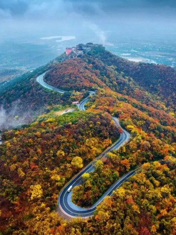 秋染茅山，养生正当时