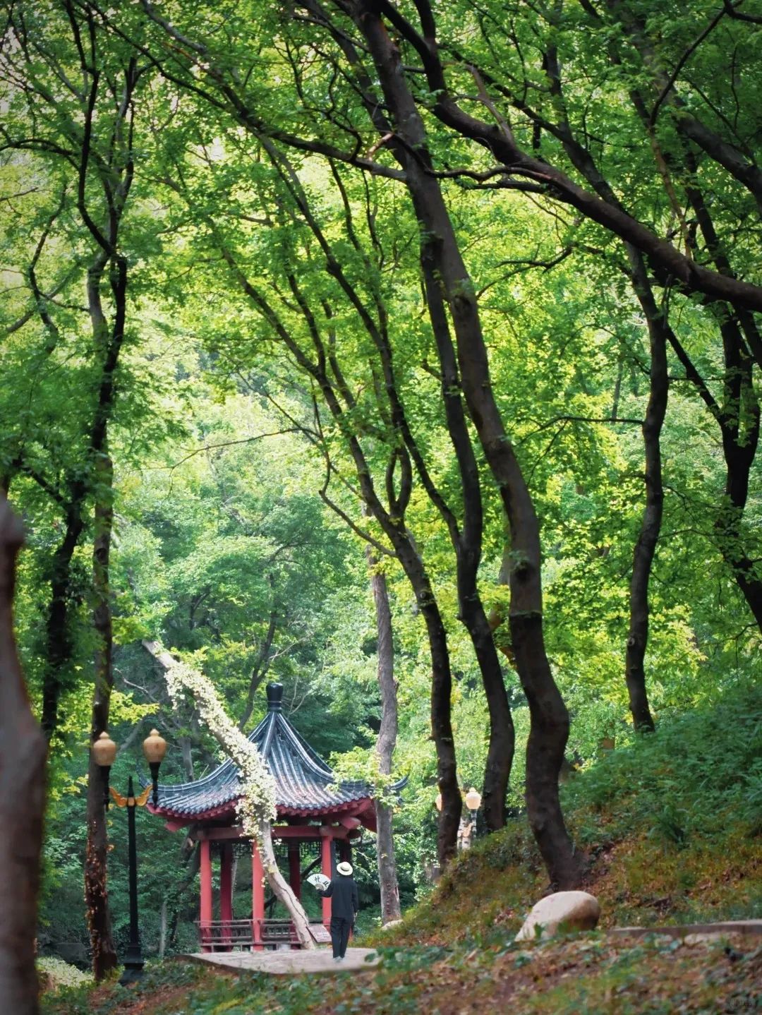 微信图片_20250514200553.jpg