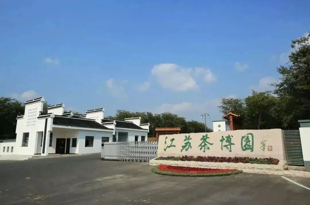 微信图片_2026-02-03_182931_904.jpg