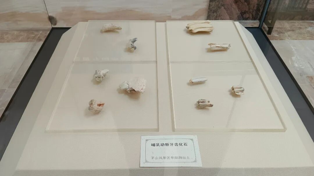 微信图片_2026-02-17_133743_078.jpg
